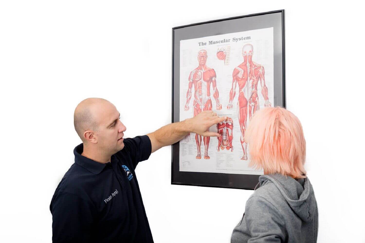 Explaining the muscular system to a client